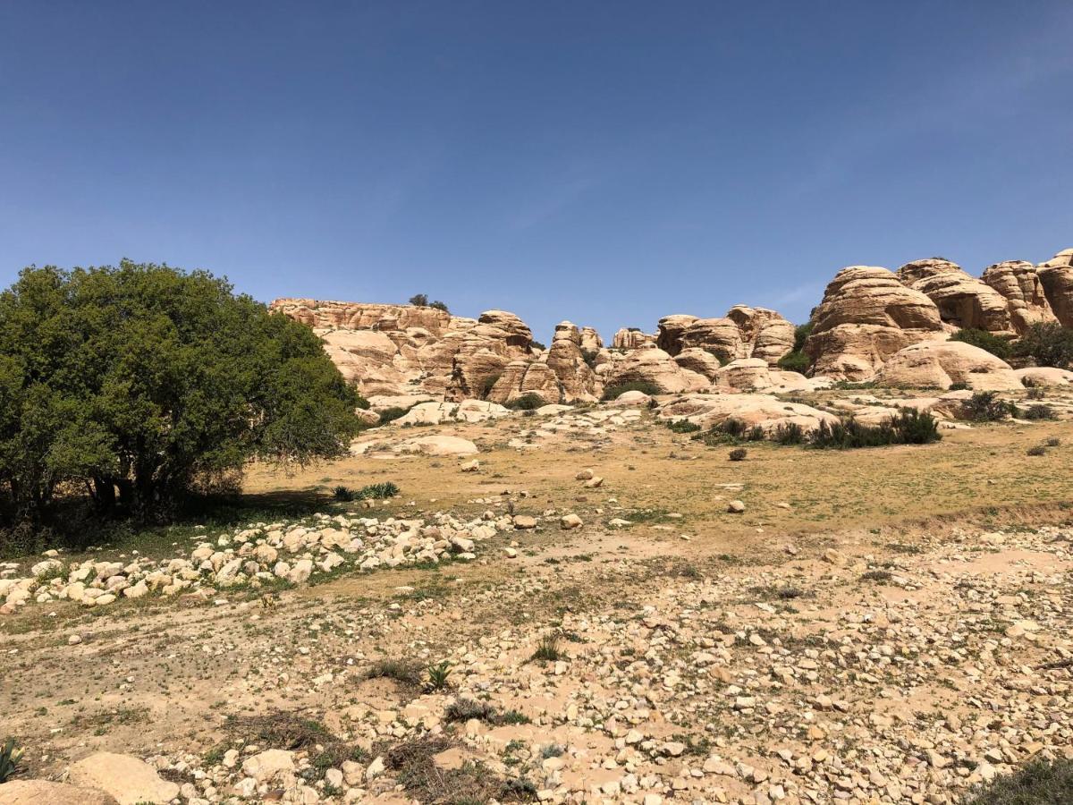Jabal Dana Hotel - The Highest Hotel In Jordan 外观 照片