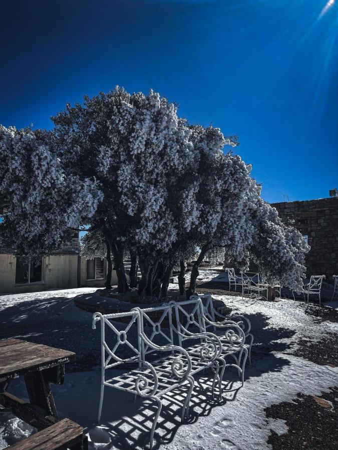 Jabal Dana Hotel - The Highest Hotel In Jordan 外观 照片